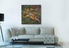 Load image into Gallery viewer, Koi Fish Meditation