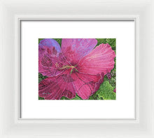 Load image into Gallery viewer, Pink Hibiscus Dream - Framed Print