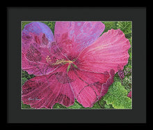 Load image into Gallery viewer, Pink Hibiscus Dream - Framed Print