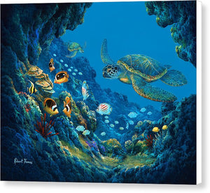 Turtle Cove - Canvas Print