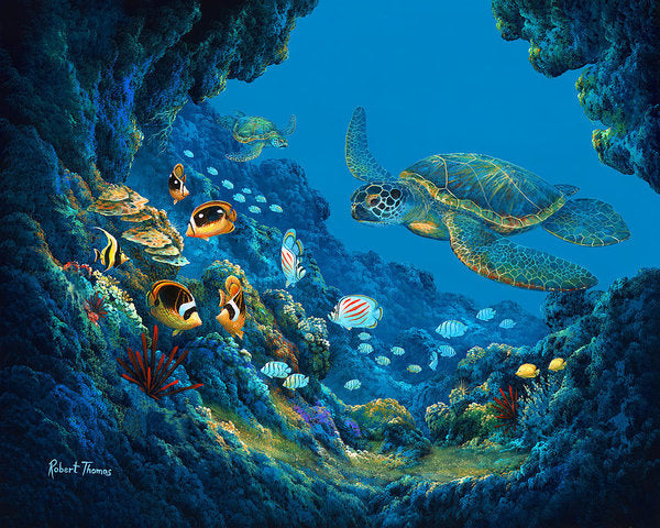 Turtle Cove - Art Print