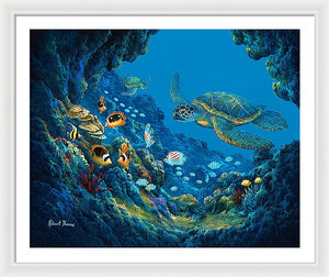 Turtle Cove - Framed Print