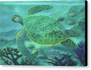 Glass Turtle - Canvas Print