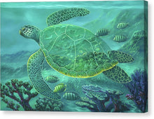 Load image into Gallery viewer, Glass Turtle - Canvas Print