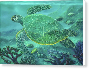 Glass Turtle - Canvas Print