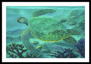 Glass Turtle - Framed Print