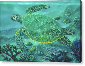 Glass Turtle - Acrylic Print