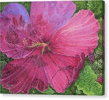Load image into Gallery viewer, Pink Hibiscus Dream By Robert Thomas - Canvas Print