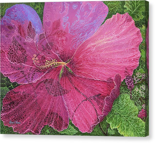 Pink Hibiscus Dream By Robert Thomas - Canvas Print
