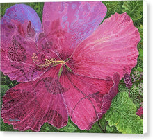 Load image into Gallery viewer, Pink Hibiscus Dream By Robert Thomas - Canvas Print