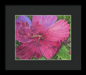 Pink Hibiscus Dream By Robert Thomas, Framed Print