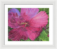 Load image into Gallery viewer, Pink Hibiscus Dream By Robert Thomas, Framed Print