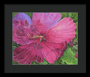 Pink Hibiscus Dream By Robert Thomas, Framed Print