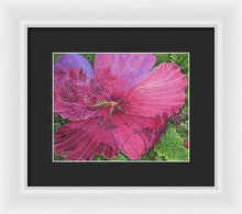 Load image into Gallery viewer, Pink Hibiscus Dream By Robert Thomas, Framed Print