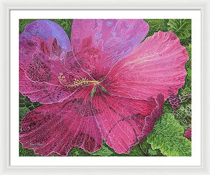 Pink Hibiscus Dream By Robert Thomas, Framed Print