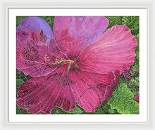 Load image into Gallery viewer, Pink Hibiscus Dream By Robert Thomas, Framed Print