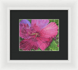 Pink Hibiscus Dream By Robert Thomas, Framed Print