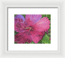 Load image into Gallery viewer, Pink Hibiscus Dream By Robert Thomas, Framed Print