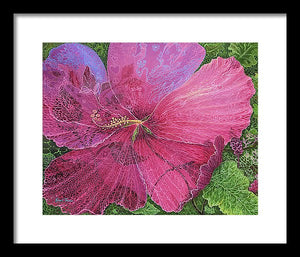 Pink Hibiscus Dream By Robert Thomas, Framed Print