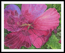 Load image into Gallery viewer, Pink Hibiscus Dream By Robert Thomas, Framed Print