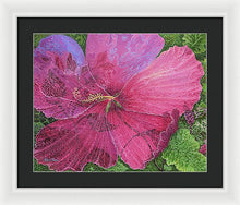 Load image into Gallery viewer, Pink Hibiscus Dream By Robert Thomas, Framed Print