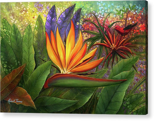 Robert Thomas - Acrylic Print