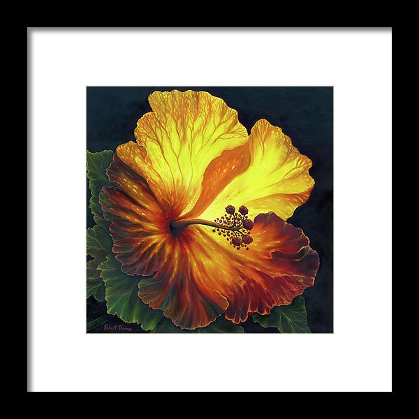 Yellow Hibiscus - Framed Print