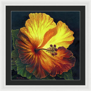 Yellow Hibiscus - Framed Print