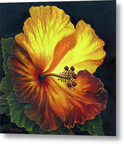 Yellow Hibiscus - Metal Print