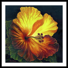 Load image into Gallery viewer, Yellow Hibiscus - Framed Print